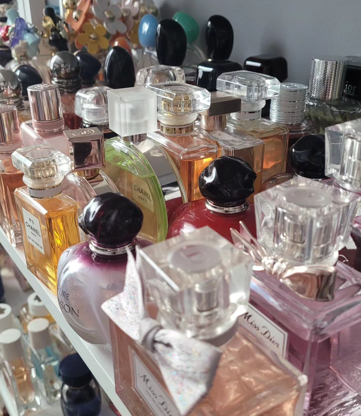 Shop More Of My Favorite Fragrances  thumbnail
