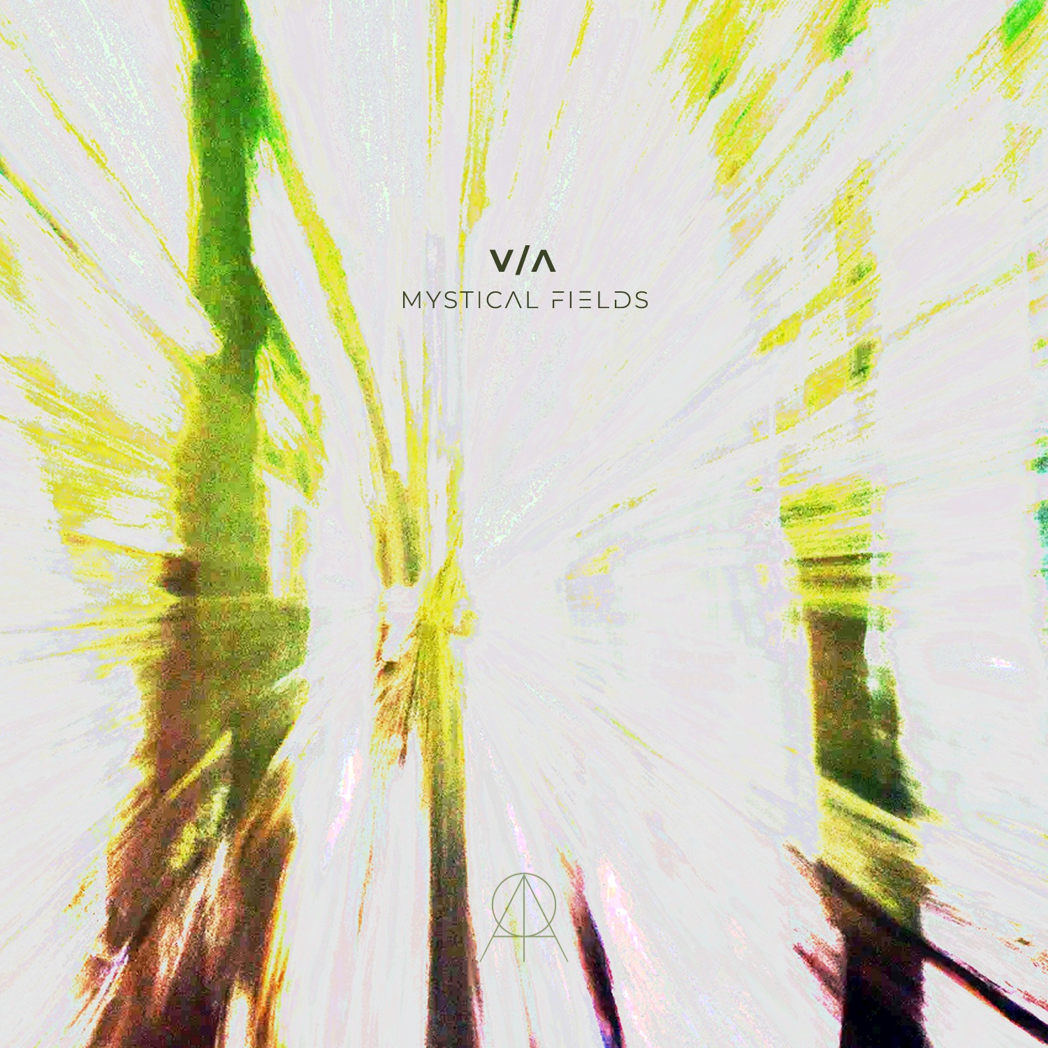 AMR002A V/A - Mystical Fields Pt. 1 out now at Bandcamp thumbnail