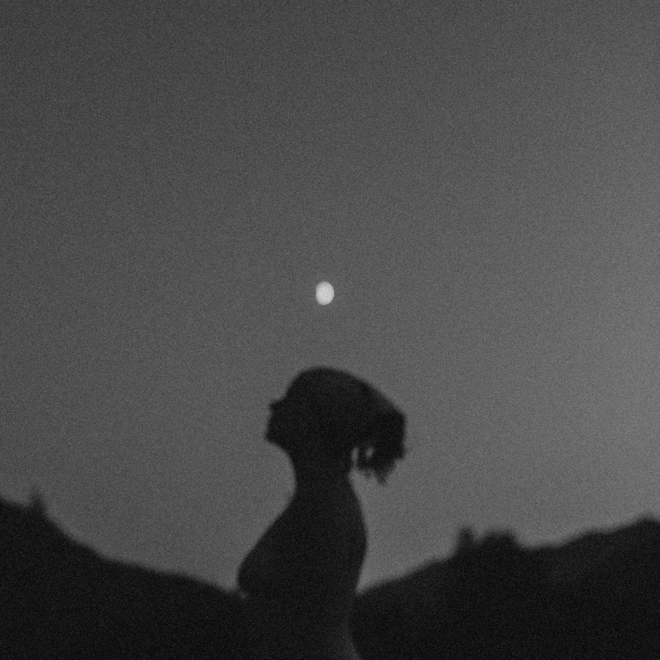 Bio & Gallery  thumbnail