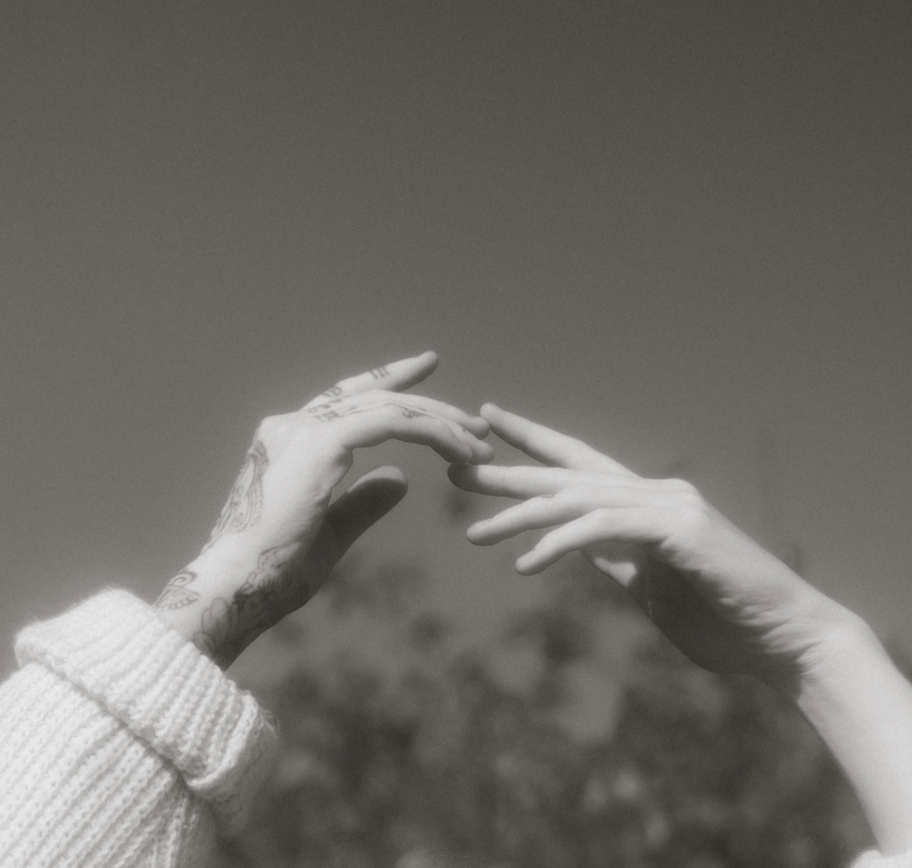 Book a shoot with me 𖦹 thumbnail