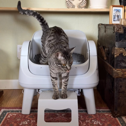 AutoScooper 12 Cat Litter Box thumbnail