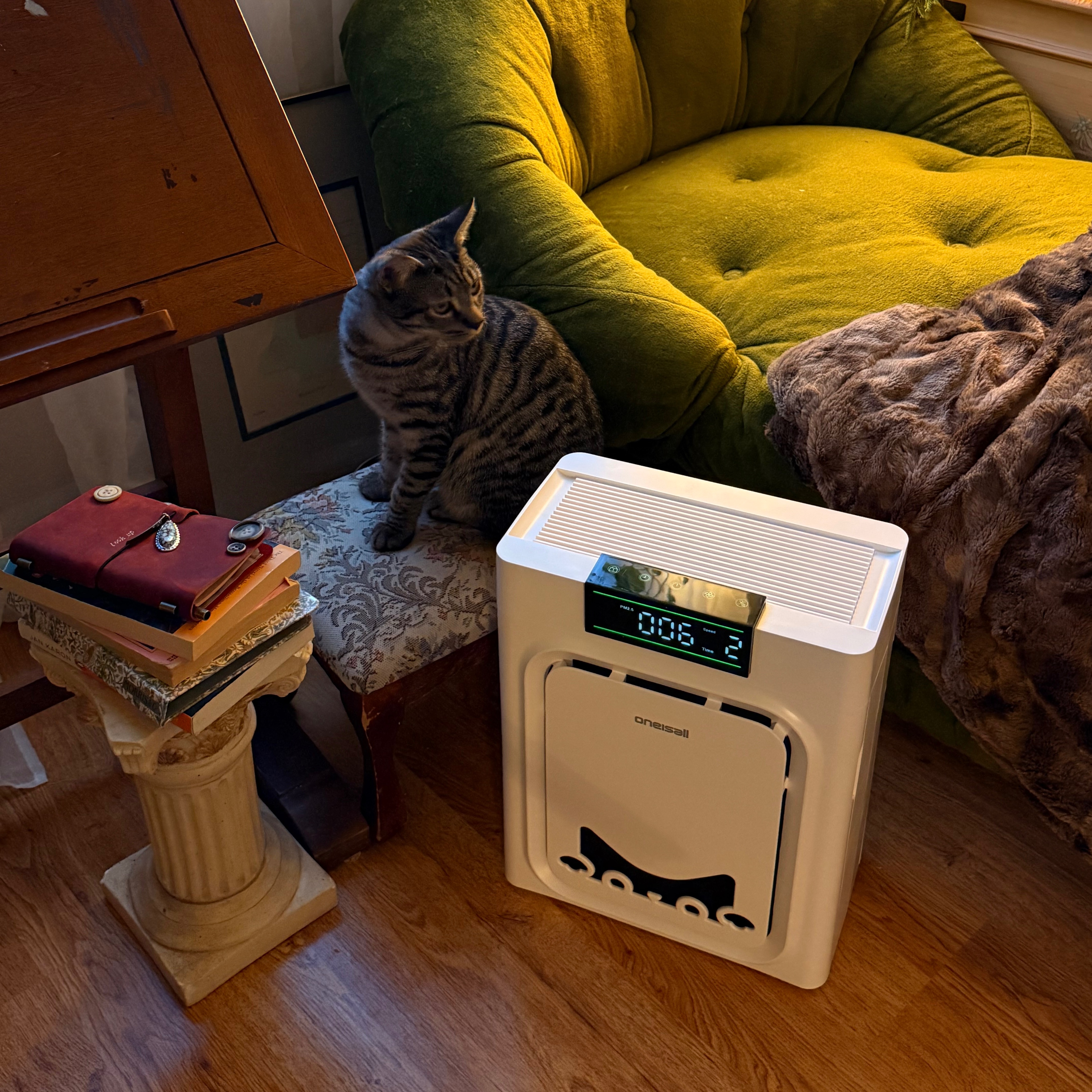 Air Purifier🤌🏼 thumbnail