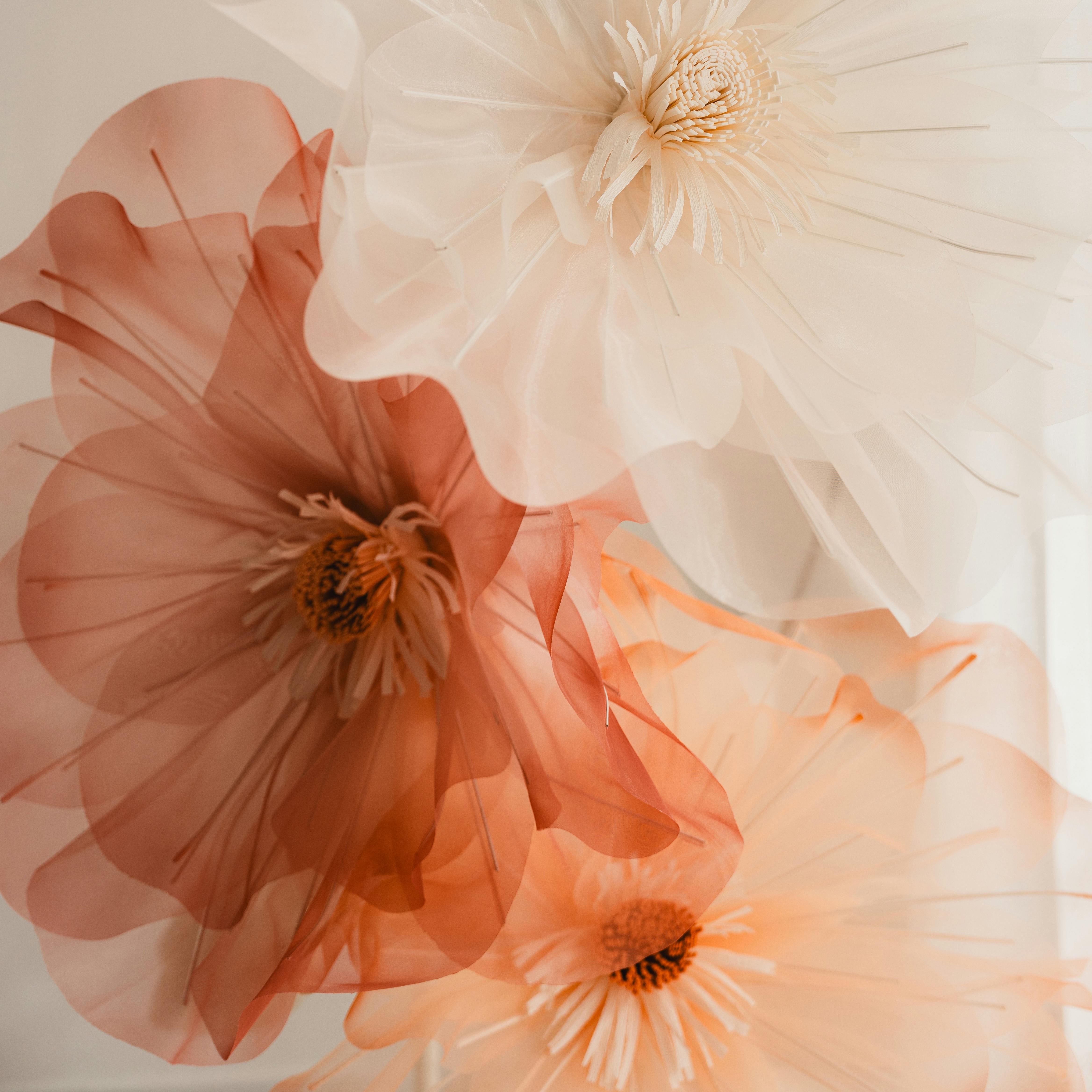 TRAVESSIA DO FEMININO - PERIMENOPAUSA thumbnail