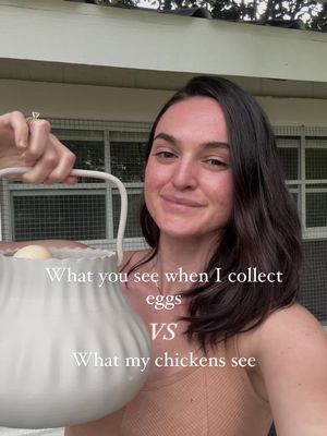 Yet they still love me somehow 😅👀 I didn’t collect eggs for over a week and a half from vacation so my basket was full t