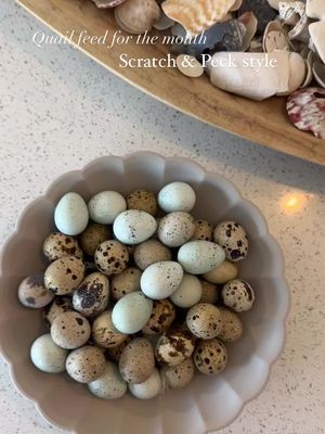 Time to whip up a month’s worth of quail food with some egg-cellent organic feed from Scratch & Peck. 🐦🌱 Quality ingredi