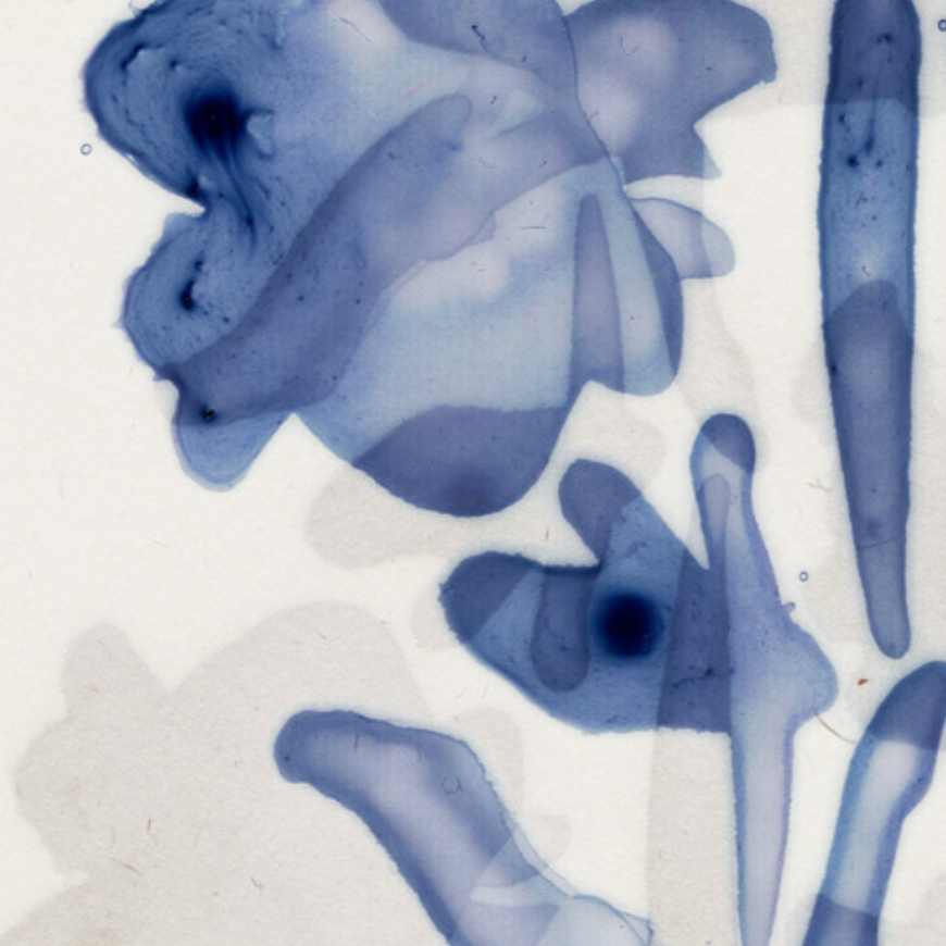 Sign up for our Newsletter thumbnail