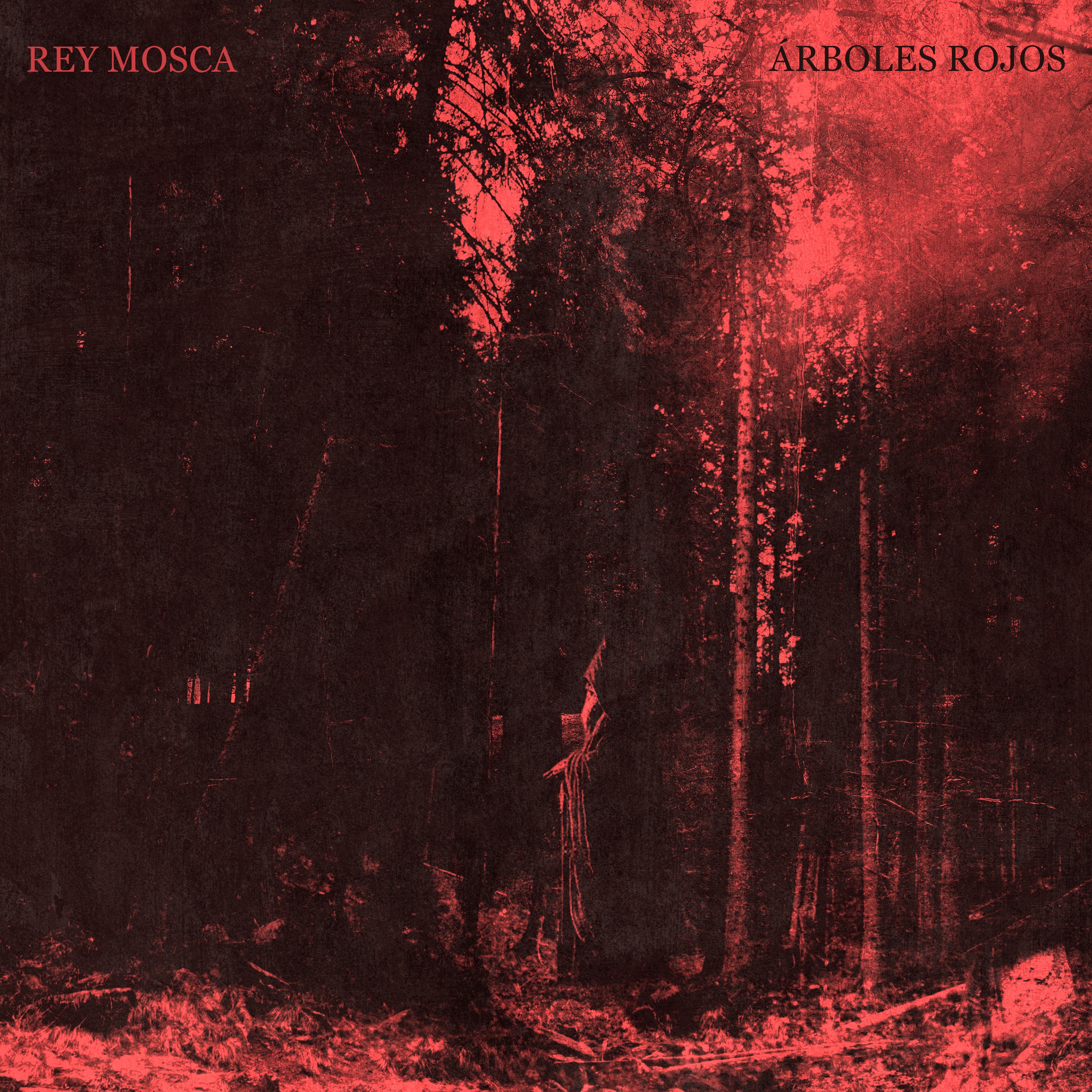 Árboles Rojos (Single) thumbnail