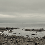 shortfabl.es thumbnail