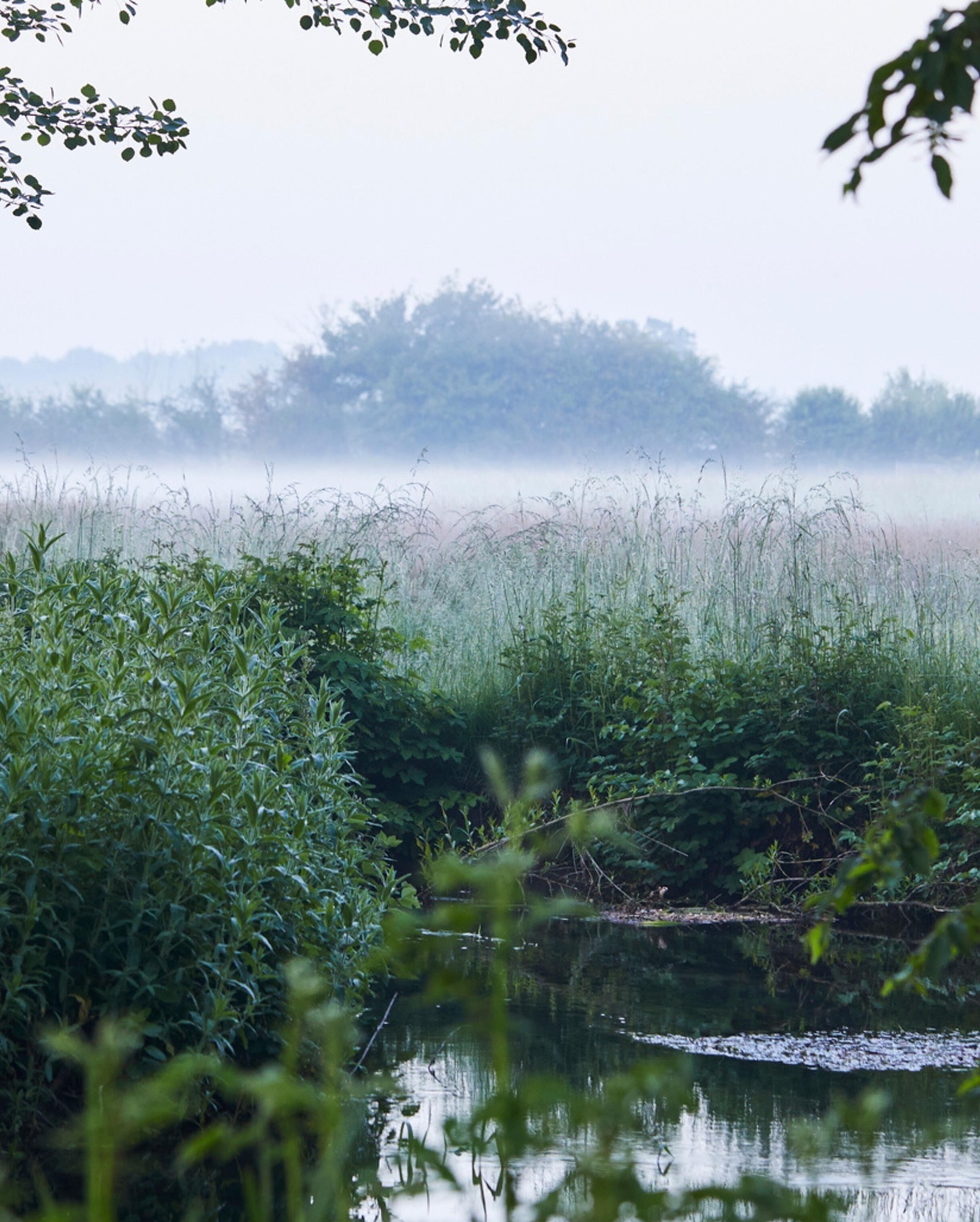 Proudly part of ‘1% For The Planet’, we are committed to donating 1% of our revenue to environmental causes, giving back