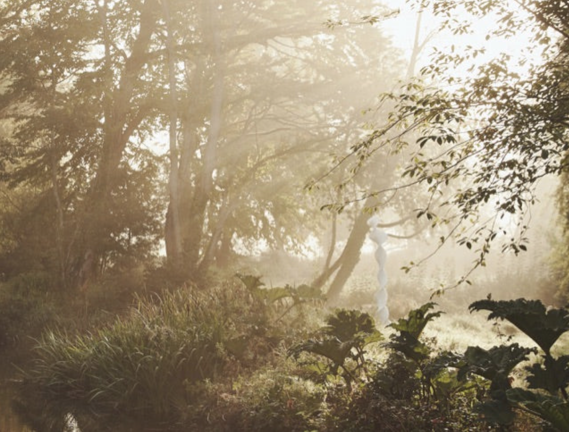 The Woodland thumbnail