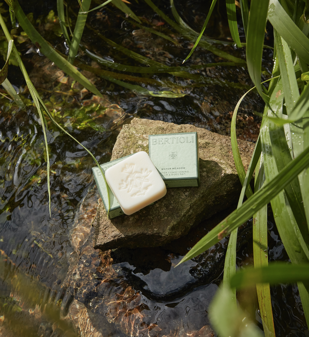 Bertioli Beauty thumbnail