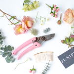 Resources for florist thumbnail