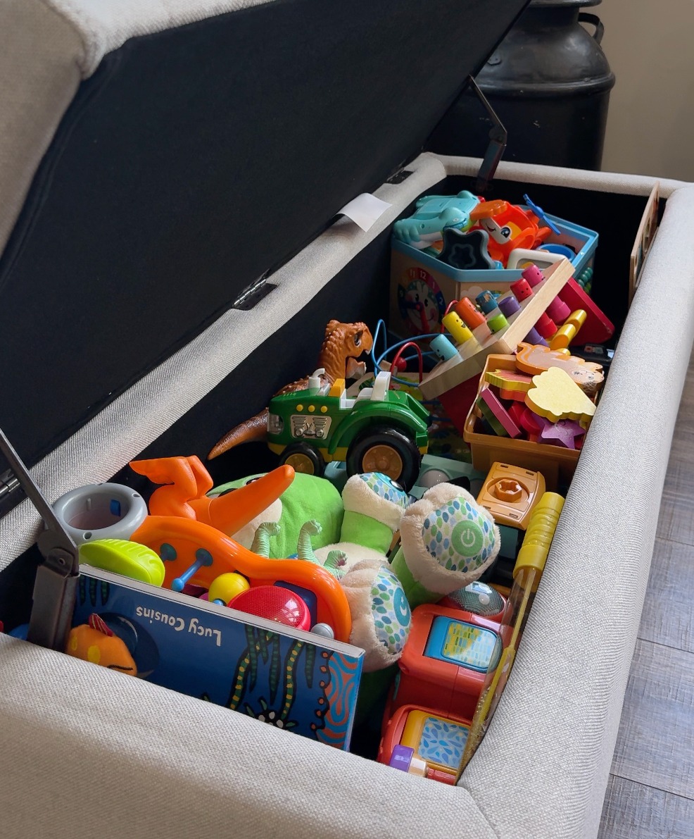 Shop Toy Storage Bench thumbnail