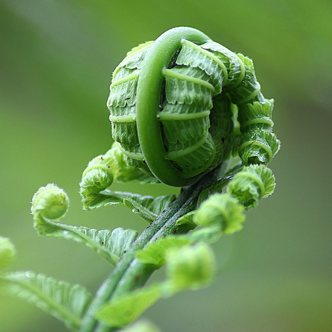 Book a Free Discovery Call thumbnail