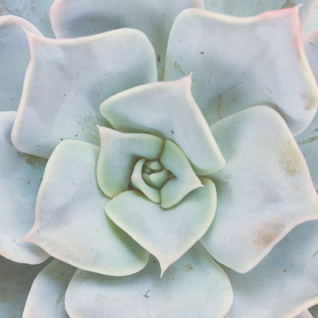 The FCW Website thumbnail