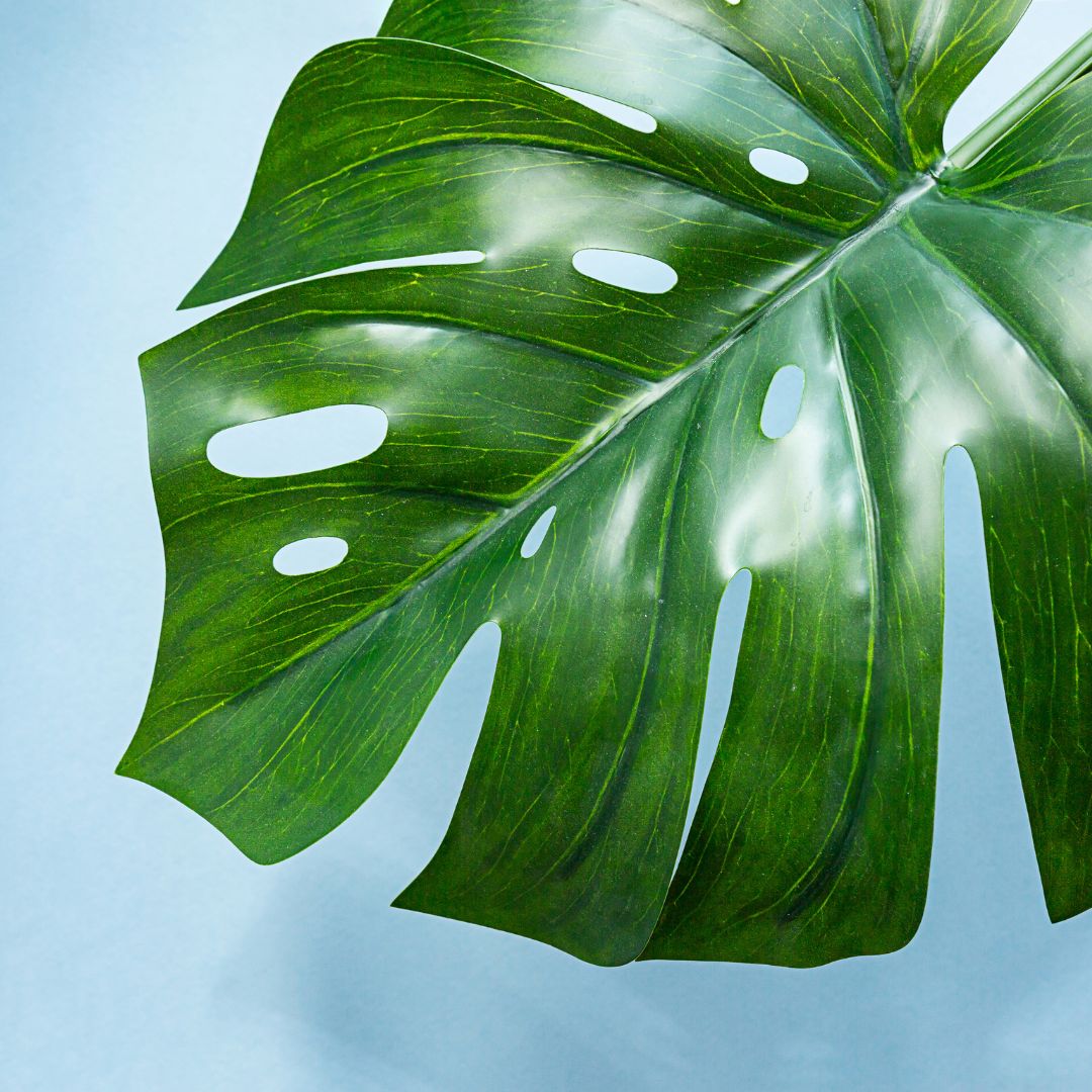 Join My Weekly Newsletter thumbnail