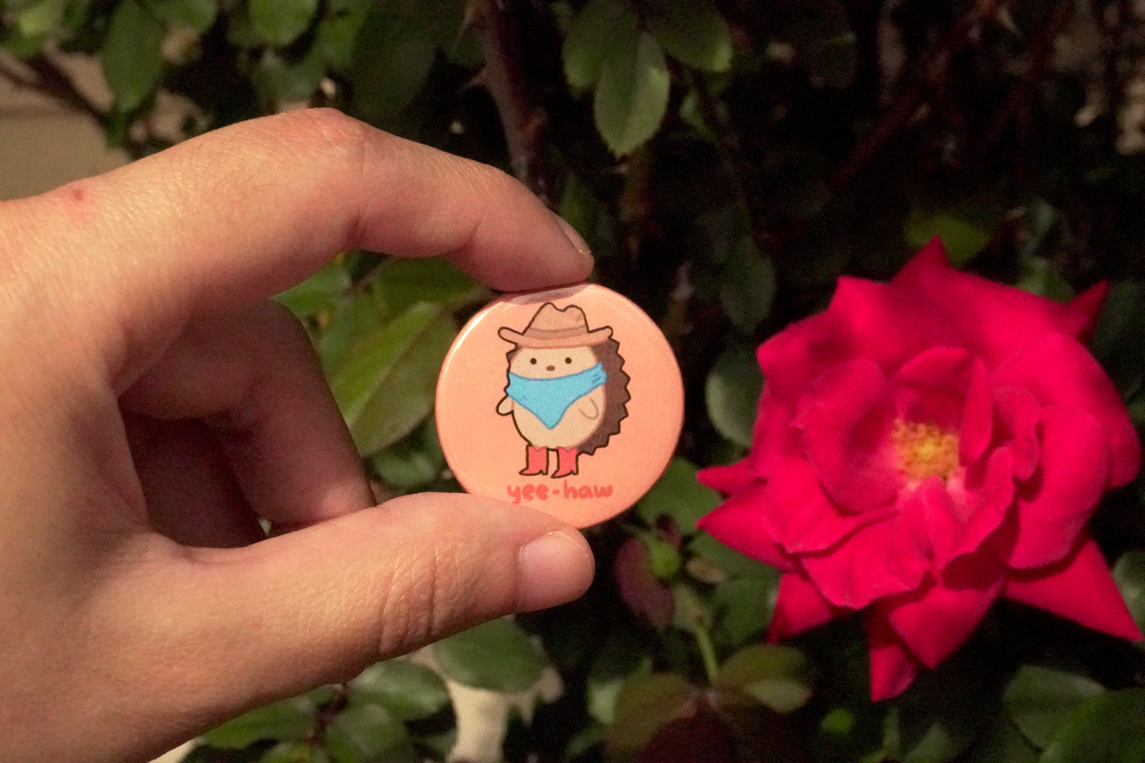 pins! thumbnail