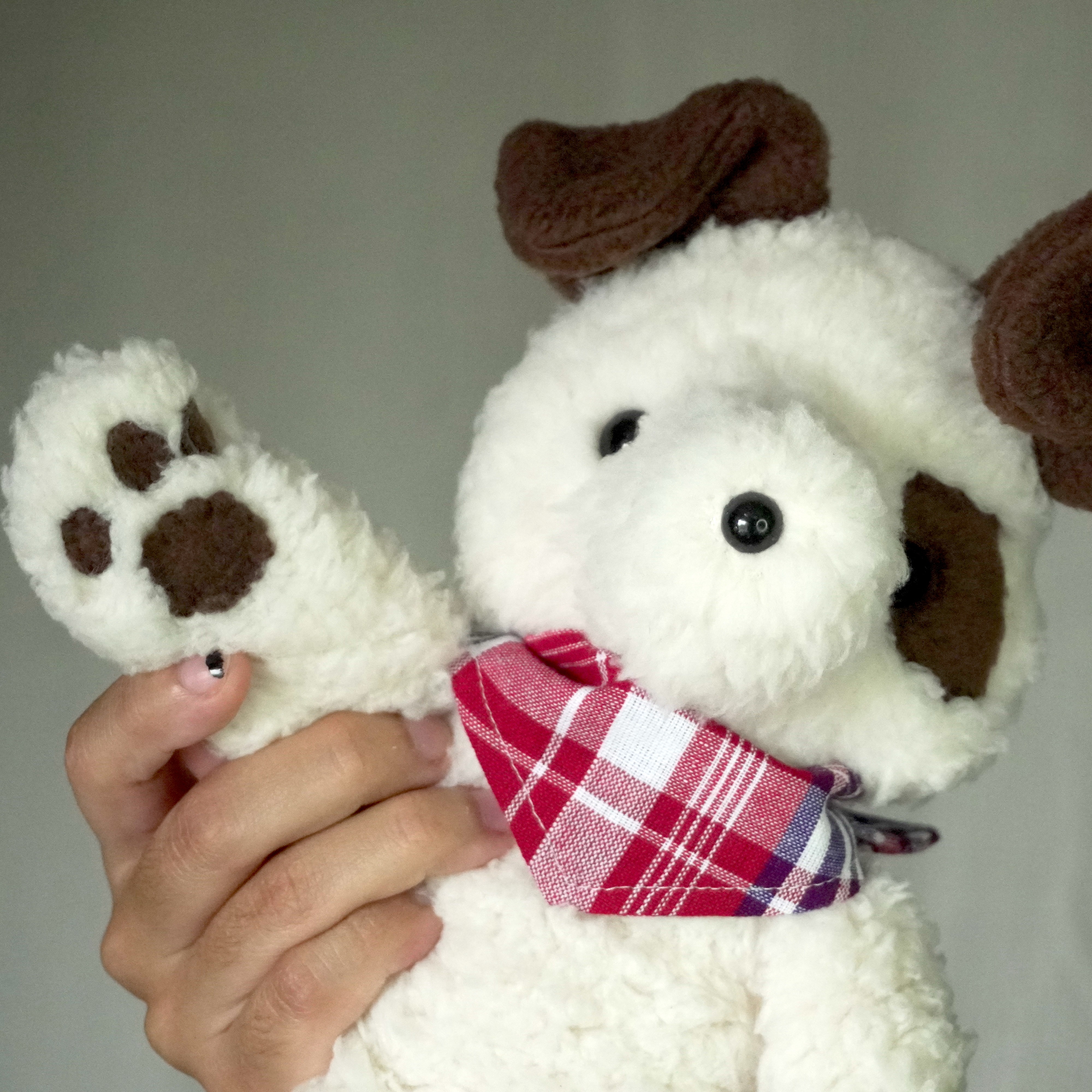 precious puppies! thumbnail