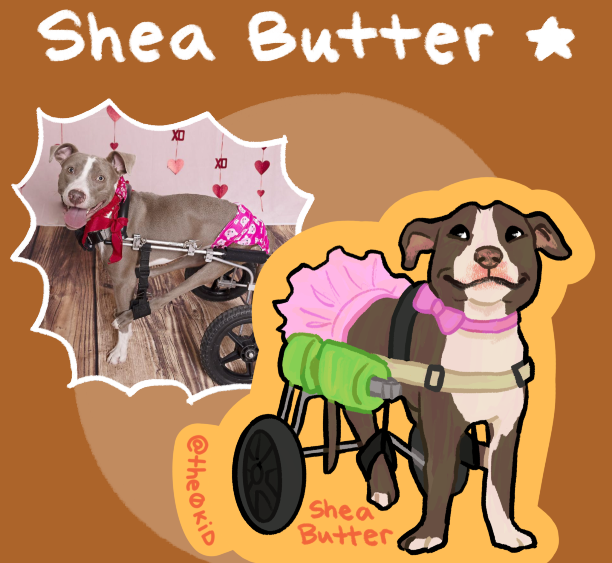 adopt shea butter! thumbnail