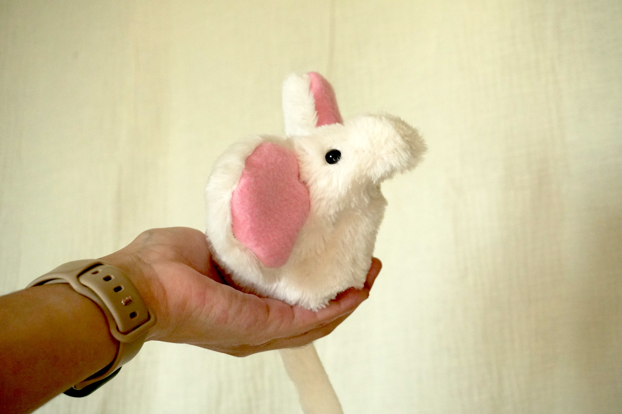 plushies! thumbnail