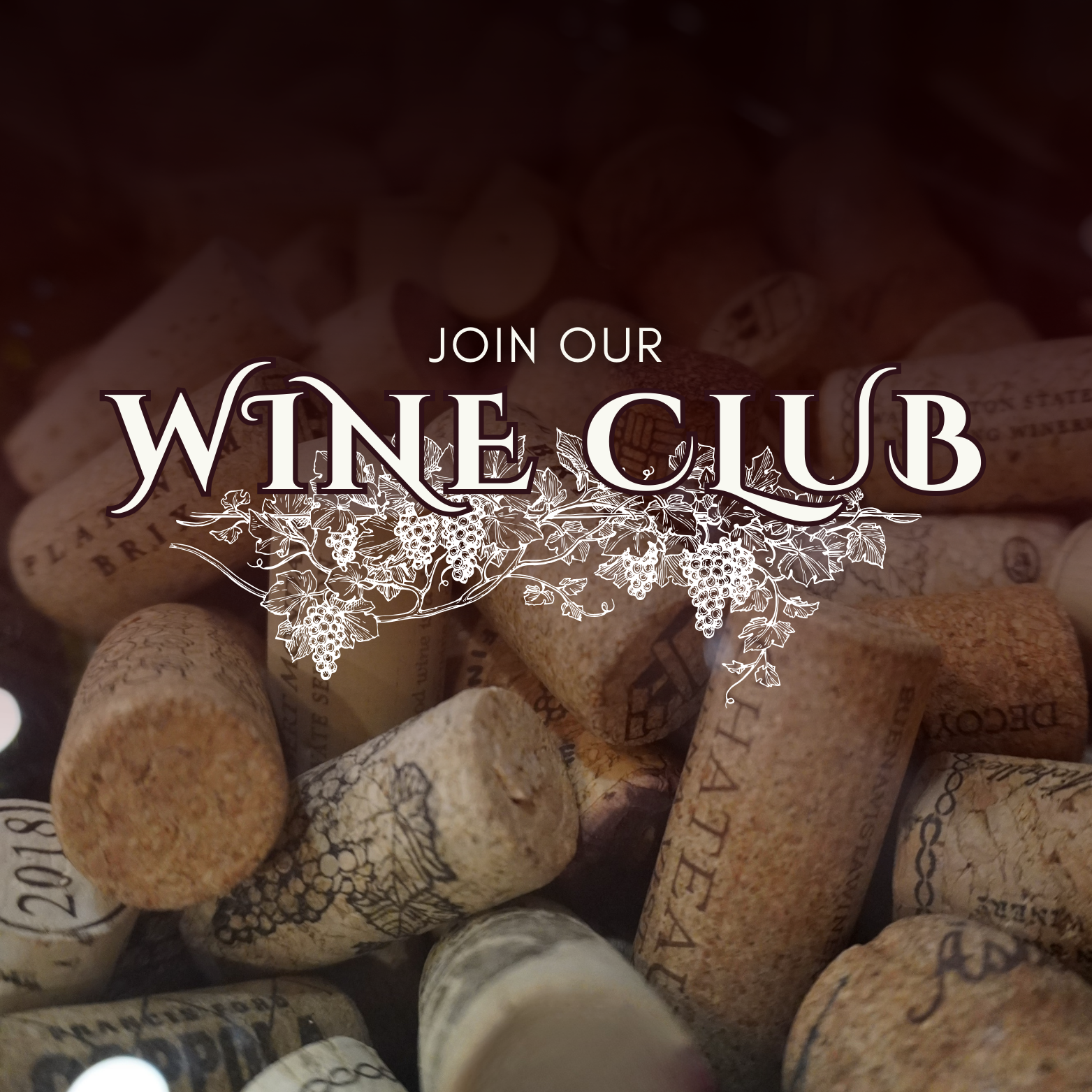 	DeVino Cellars Wine Club thumbnail