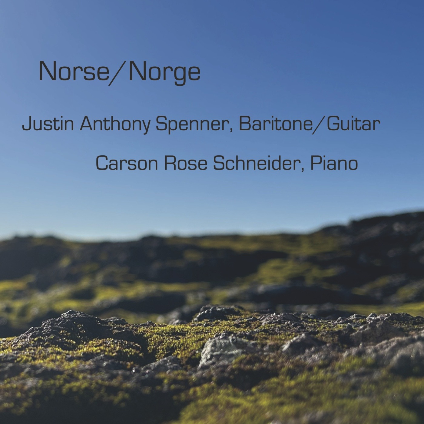 Norse/Norge Spotify Playlist thumbnail