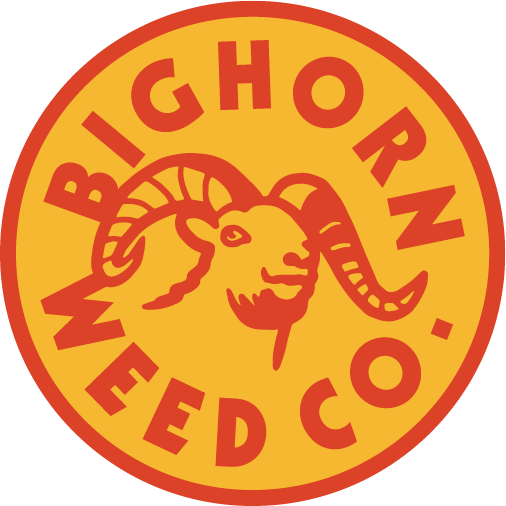 BioSite profile picture for @bighorn