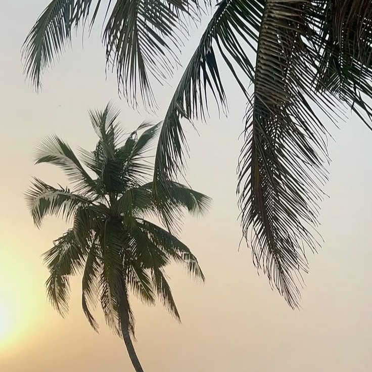 Businessday.ng: 7 Budget-friendly ways to enjoy the Nigerian summer without leaving your neighbourhood - Businessday NG thumbnail