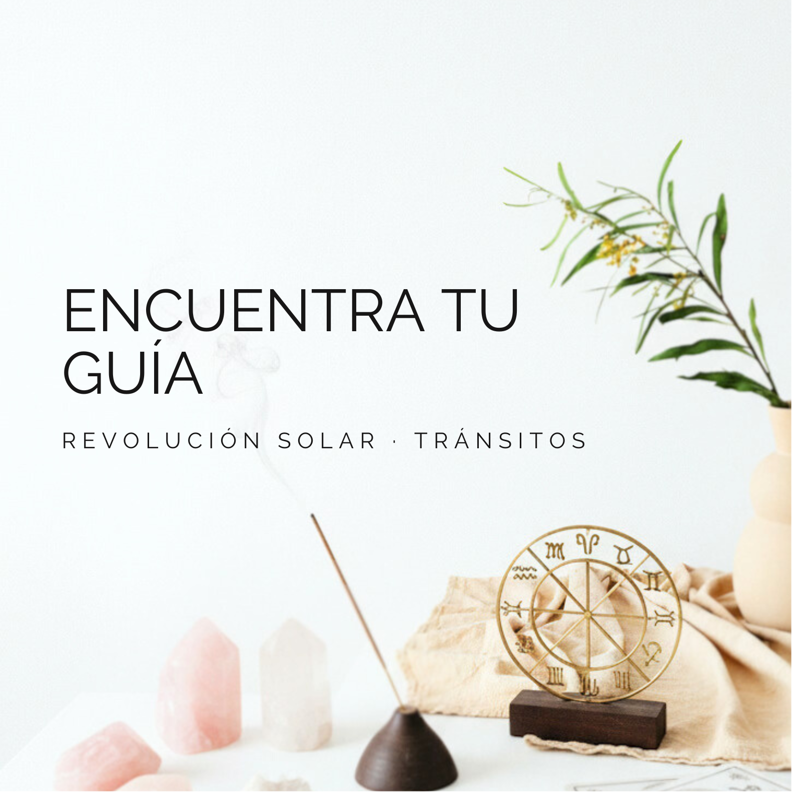 Sesión: ENCUENTRA TU GUÍA thumbnail