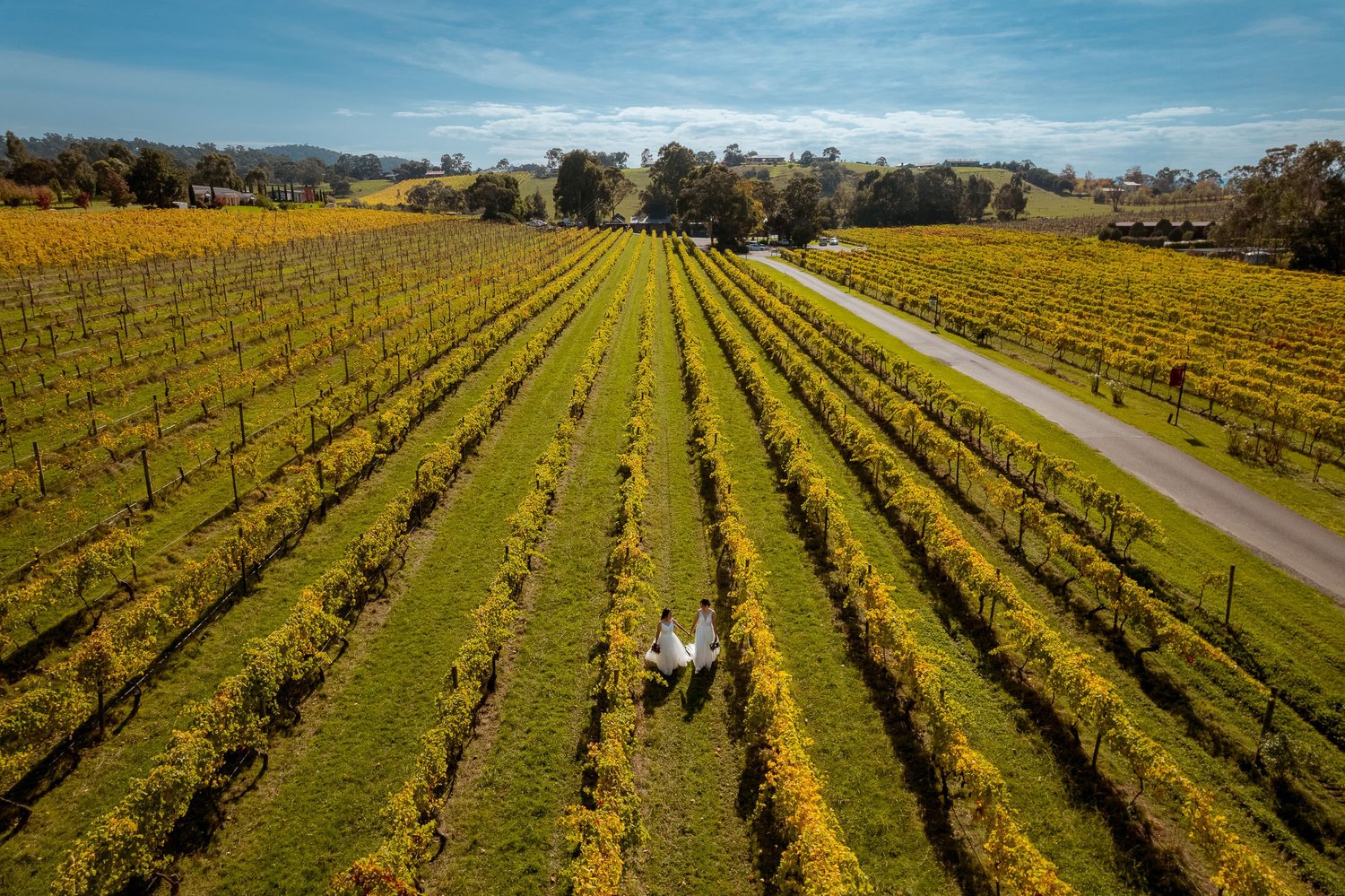 Enchanting Destinations: The Most Prestigious Yarra Valley Wedding Venues" — Marcel Van der Horst Photographer Melbourne — Marcel Van der Horst Photographer Melbourne thumbnail