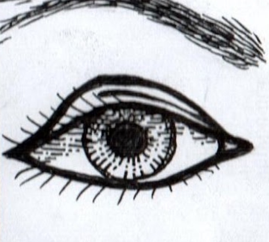 Zine Library prototype thumbnail