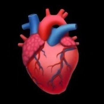 Mais Saúde  🏋🏽💪🏾🍎🥗 | WhatsApp Channel thumbnail