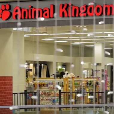 Rupert's Story & Legacy (News Article) thumbnail