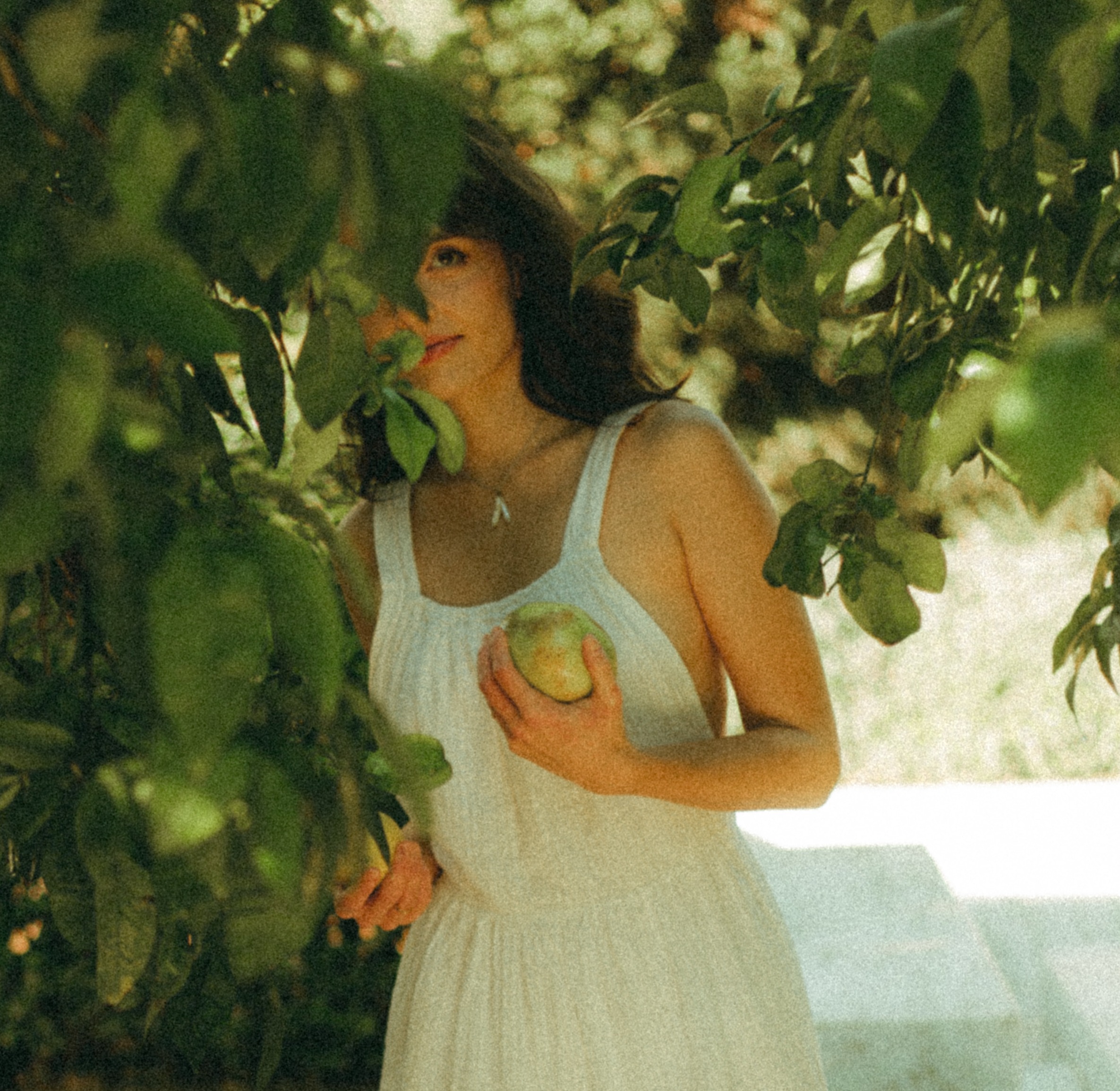 ✨ MASTERCLASS GRATUITA: De ‘tu enfermedad autoinmune es crónica’ a empezar a sanar fuera de lo convencional: la historia real de una mujer como tú” thumbnail