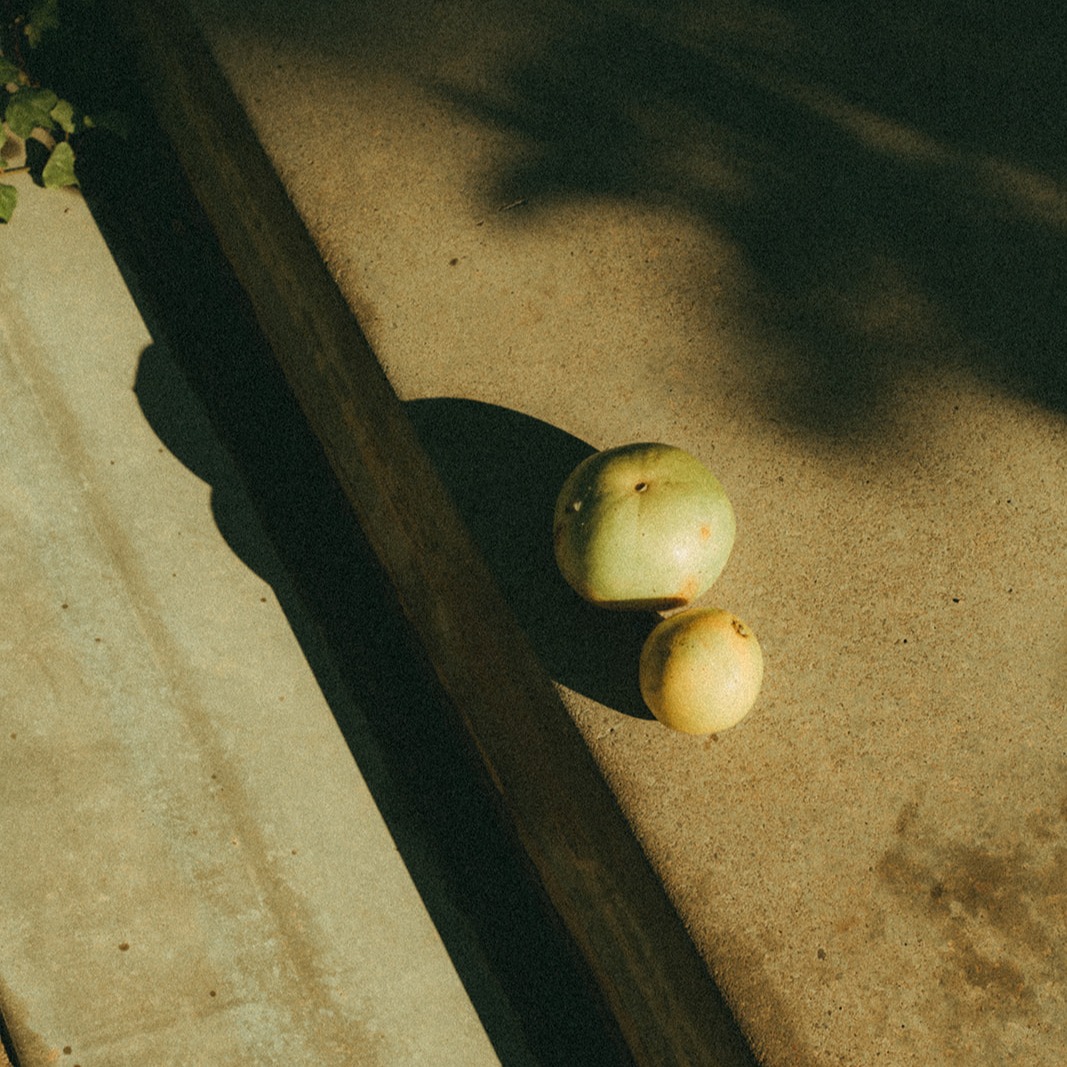 💌 Únete a la Comunidad (REGALO de Bienvenida) thumbnail