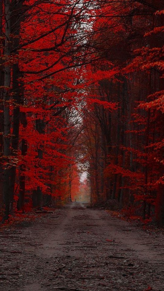 Recentemente, em "Casamento às Cegas Brasil", foram levantadas questões importantes sobre a disfunção erétil, um tabu qu