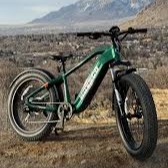 HovAlpha Fat Tire Electric Bike thumbnail