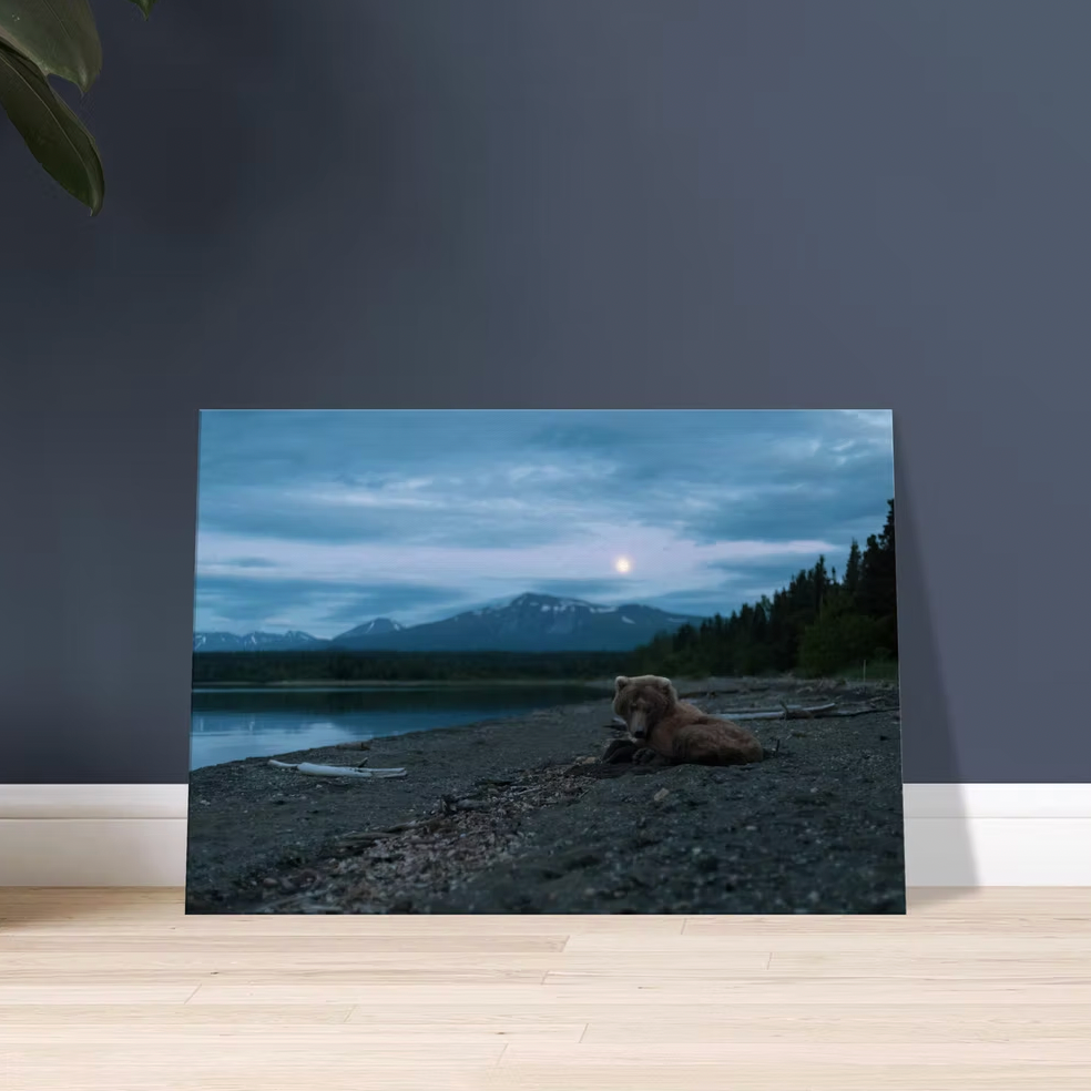 Print Store thumbnail