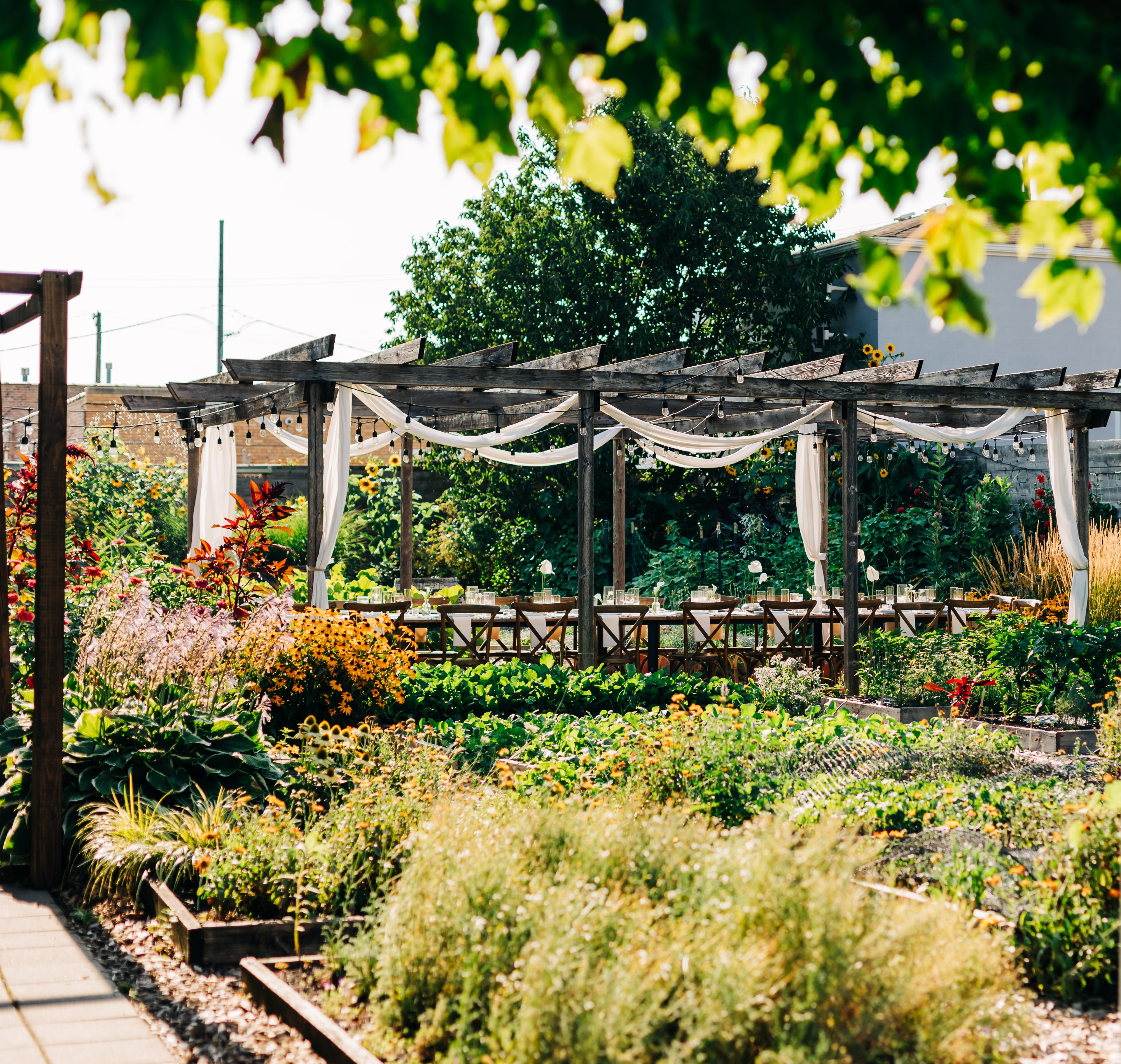 Best of Chicago 2024 - Local Farm thumbnail