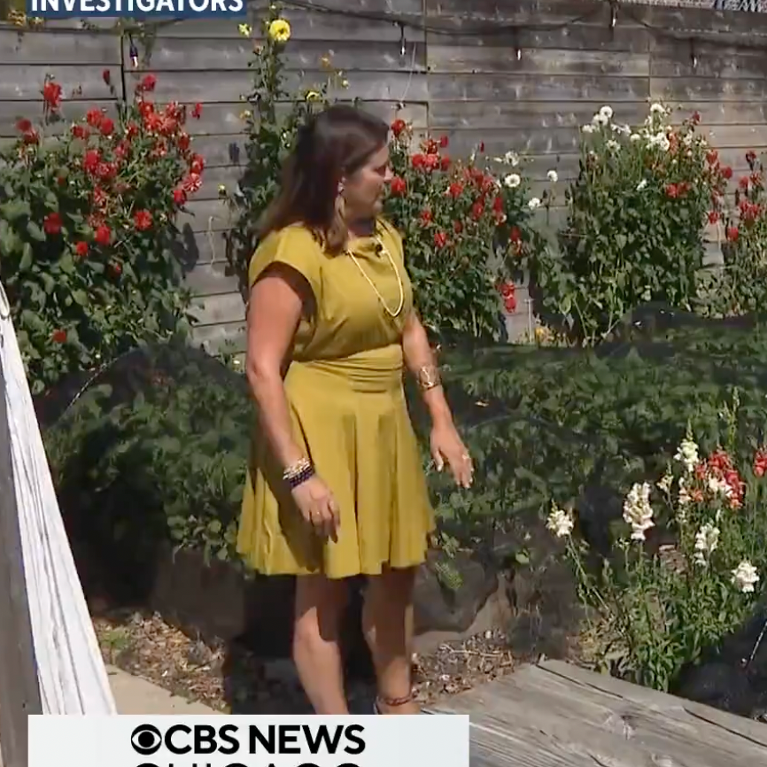 BDP & Green Wedding Alliance on CBS Chicago🌿 thumbnail