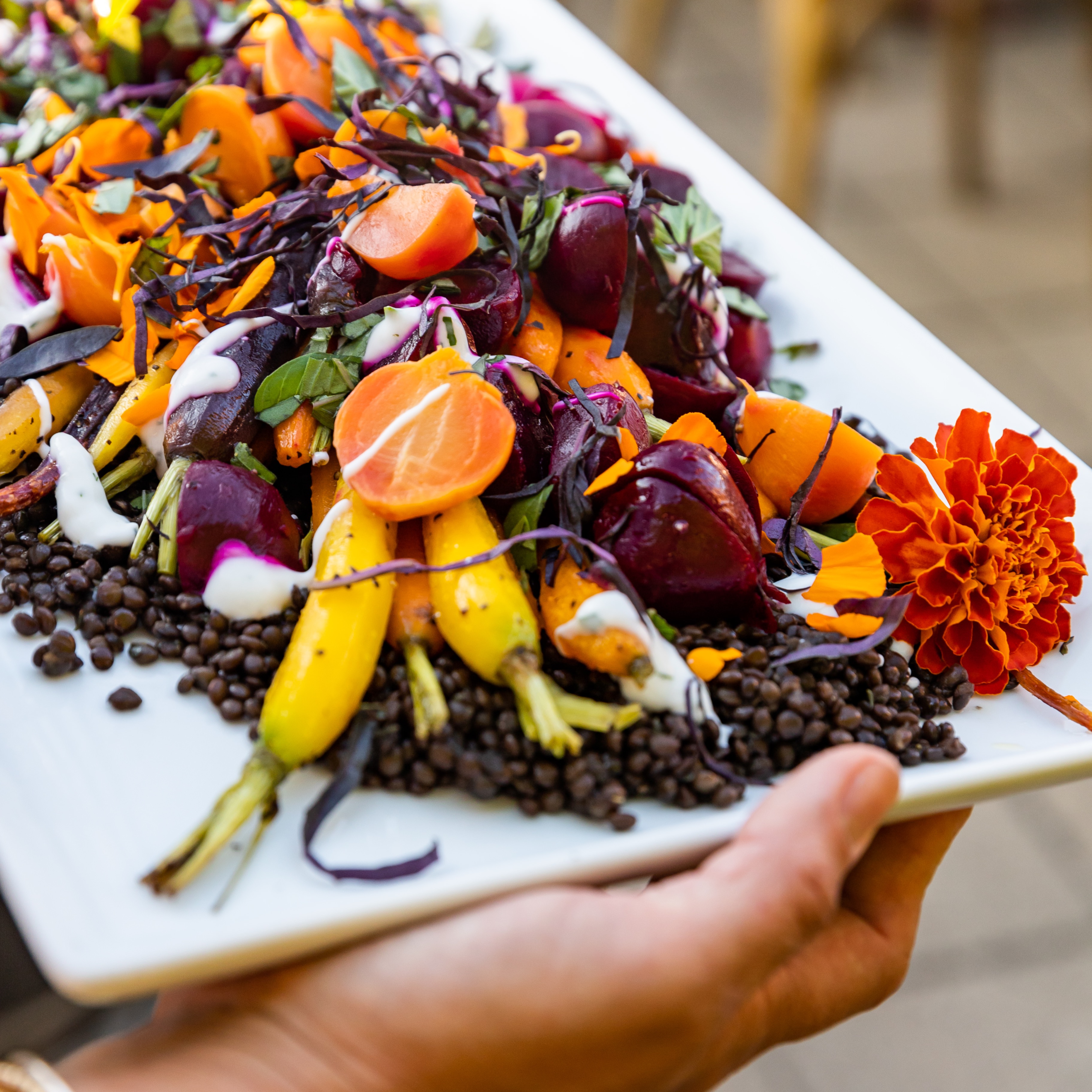 ORDER THANKSGIVING FROM BDP thumbnail