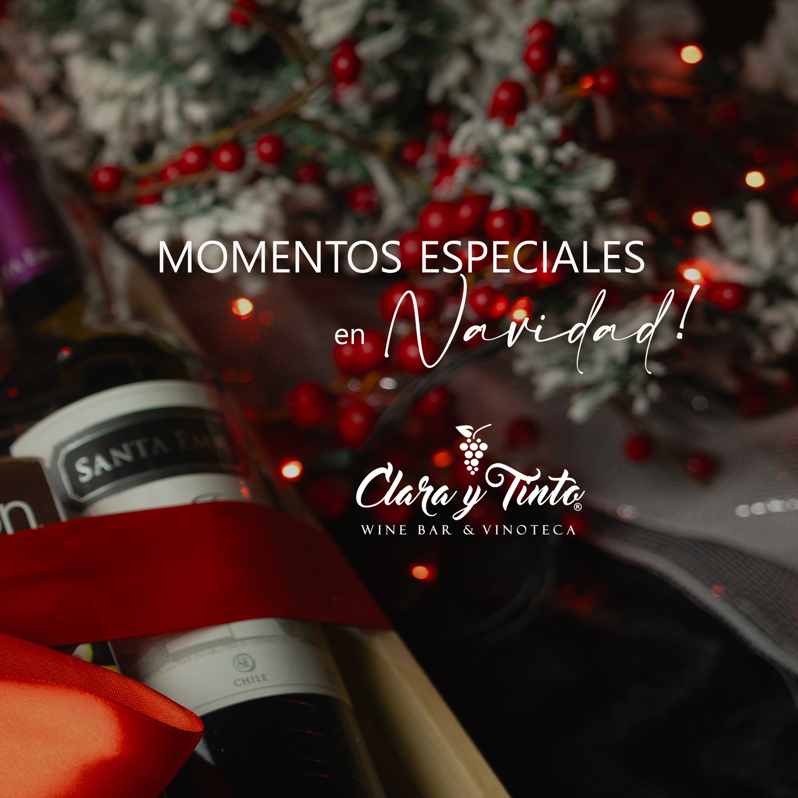 MOMENTOS ESPECIALES EN NAVIDAD - CATALOGO thumbnail