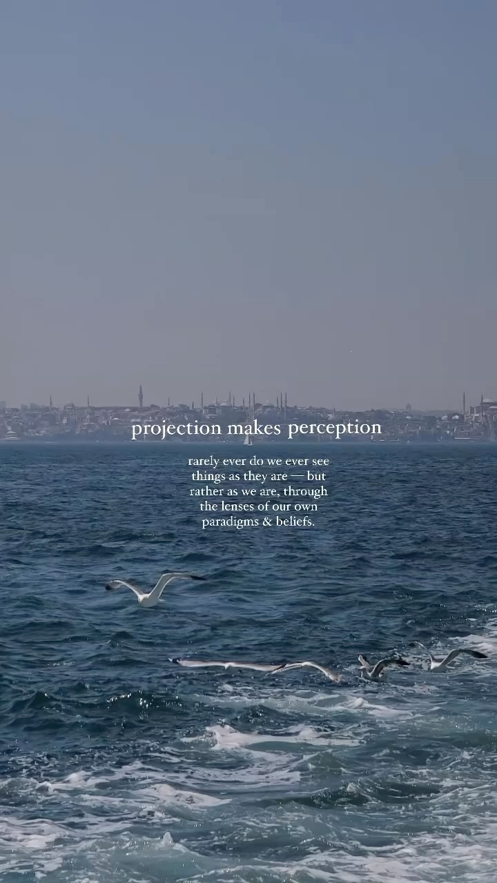 “Heal so you can hear what’s been said, without the filter of your wounds” - Thelma Bryant 

Projection creates percepti