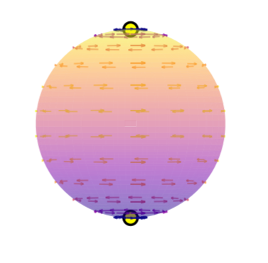 Illustrating the Hairy Ball Thm thumbnail