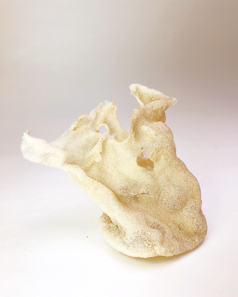 Blog (Master of Fine Arts work) thumbnail