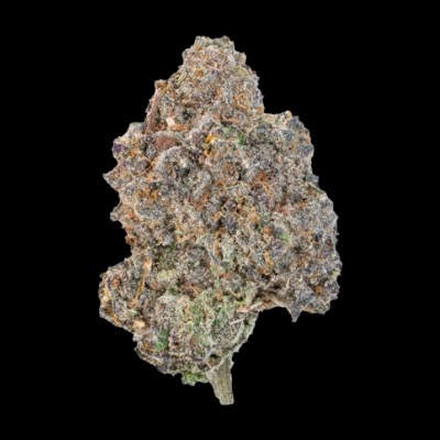 Indoor Super Exotics thumbnail