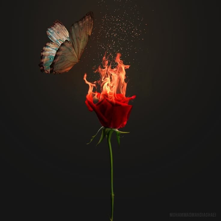 Bye Bye Bad Juju thumbnail