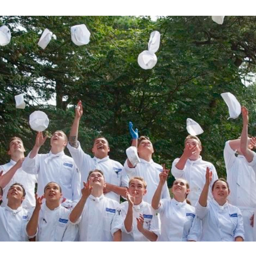 RACA Apprenticeships thumbnail