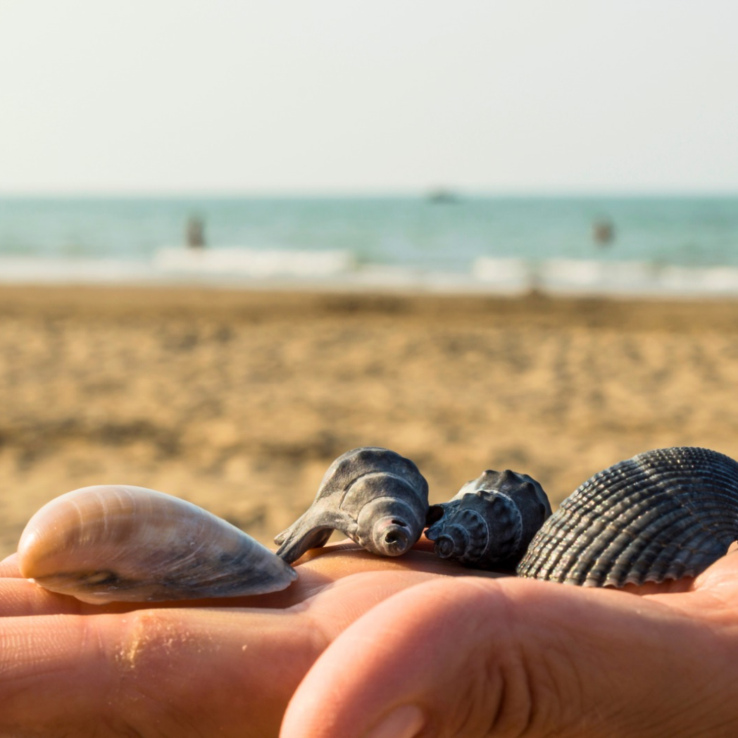 The One with the Thanksgiving Game Plan thumbnail