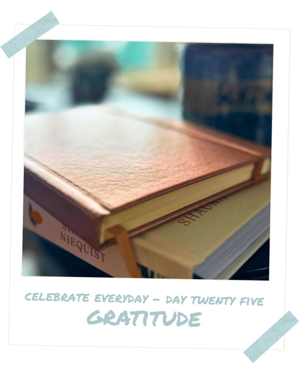 Celebrate Every Day — Day Twenty Five thumbnail